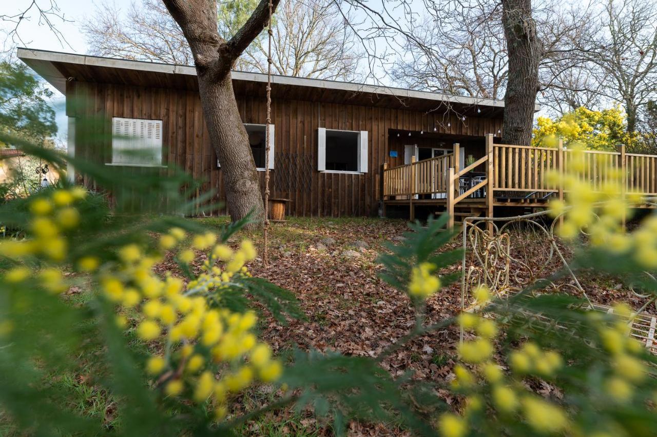 La Petite Maison Du Lac Biscarrosse Extérieur photo